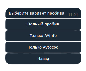 Пример меню бота для проверки автомобиля